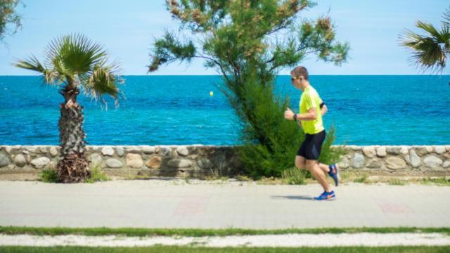 Un Petit Nid Les Pieds Dans L'Eau Leilighet Argelès-sur-Mer Eksteriør bilde