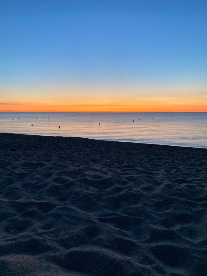 Un Petit Nid Les Pieds Dans L'Eau Leilighet Argelès-sur-Mer Eksteriør bilde